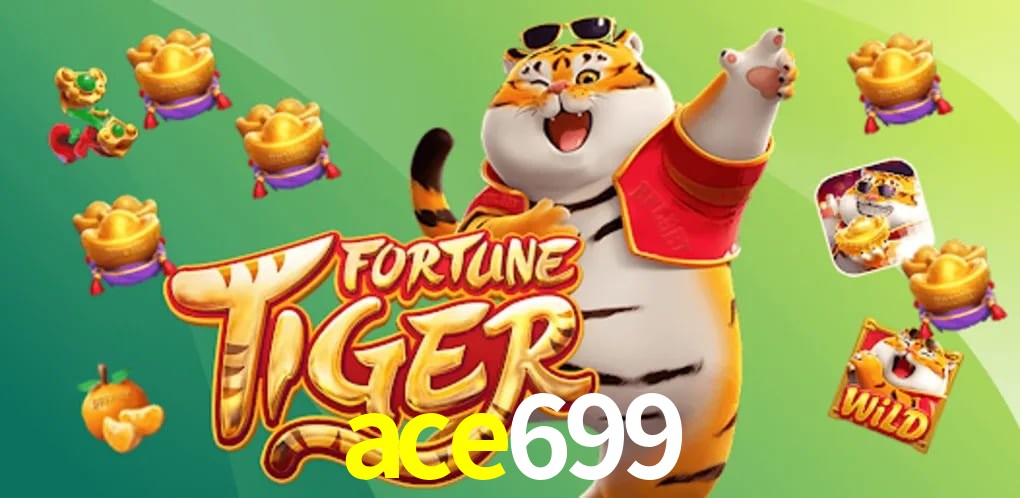 Experiência VIP ace699